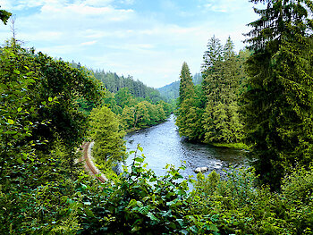 Wandern im Regental - Bayerisch Kanada